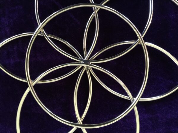Detailaanzicht van het genesis patroon