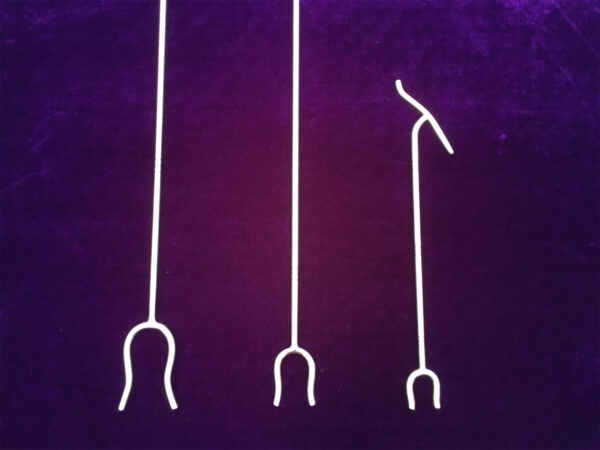Was scepters stemvorken